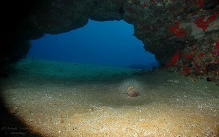 Puerto Moro Divesite north