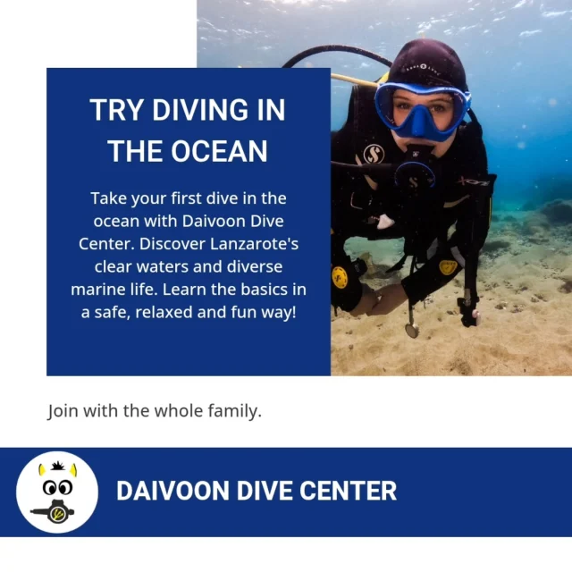 Do your first breaths underwater!!!

#wearessi #daivoondiving #divinglanzarote #tauchenlanzarote #buceolanzarote #scubadiving #scubagram #divessi #discoverscubadiving #lanzarote #canaryislands #islascanarias #schnuppertauchen